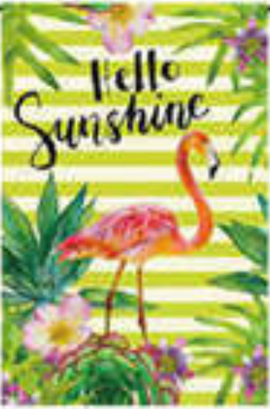 Hello Sunshine