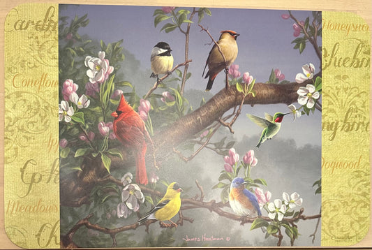 Birds Placemat
