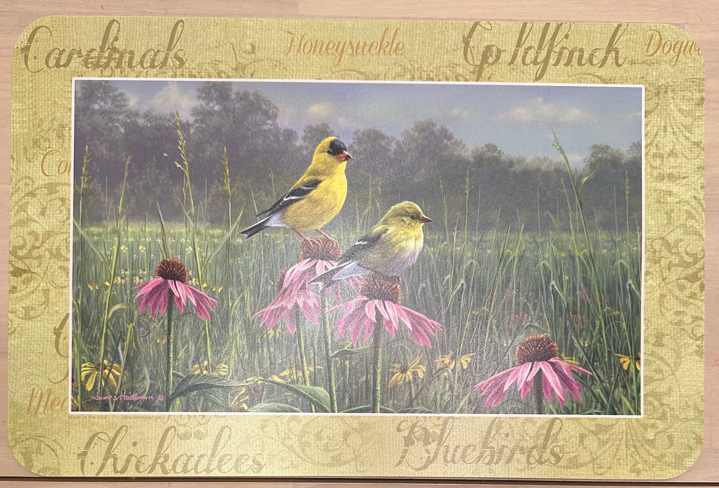 Birds Placemat